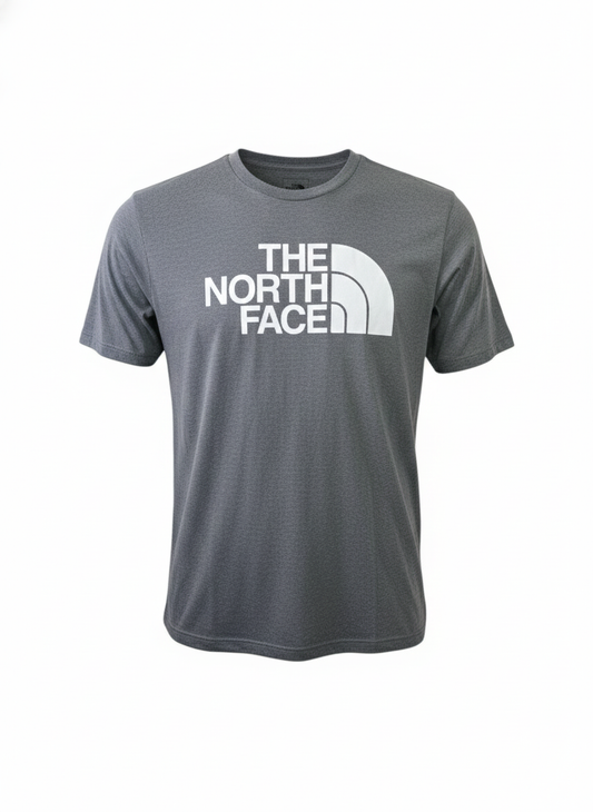 Playera The North Face Gris Estampado logo grande en pecho y pequeño espalda