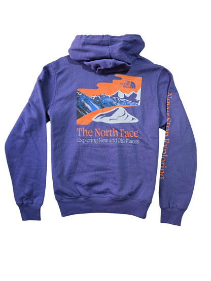 Sudadera con capucha  The North Face Morado